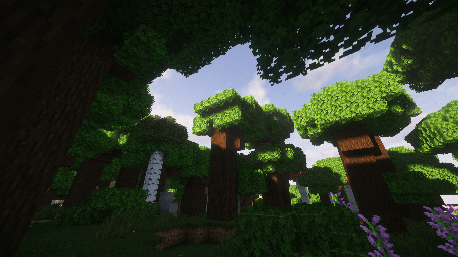 Thumbnail 2025-05-14_12.36.57.png