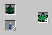 Thumbnail Green Recipe