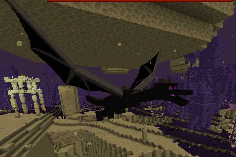 tamed ender dragon