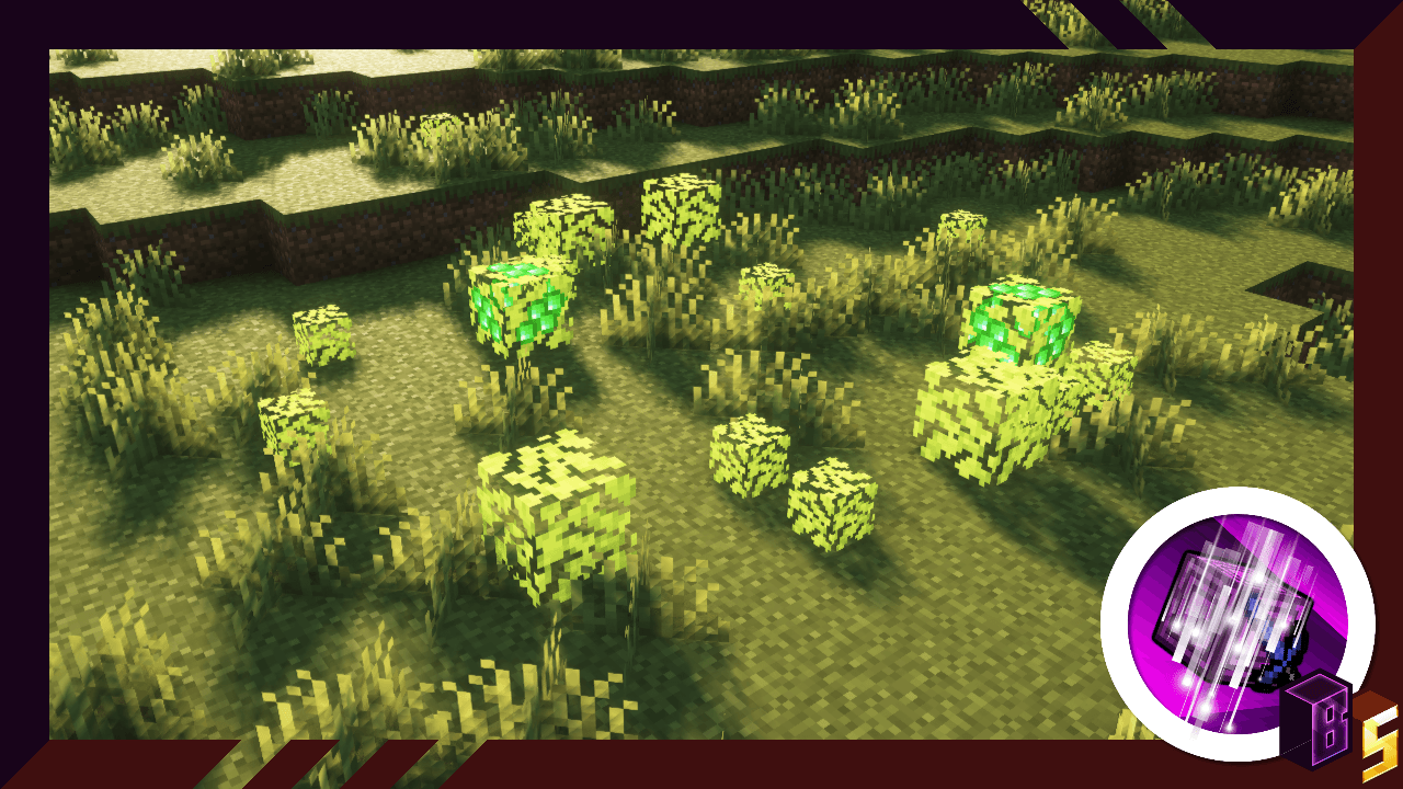 Thumbnail Experience-Bush.png