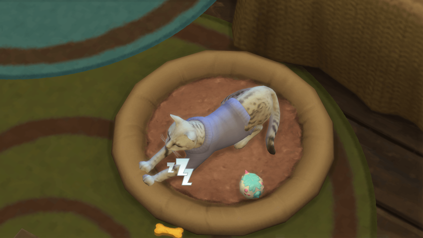 Thumbnail 05-21-25_5-44-37Â PM.png