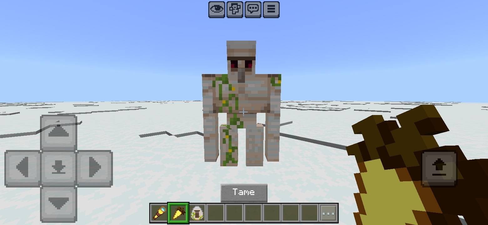 Screenshot_20250529-193854_Minecraft.jpg