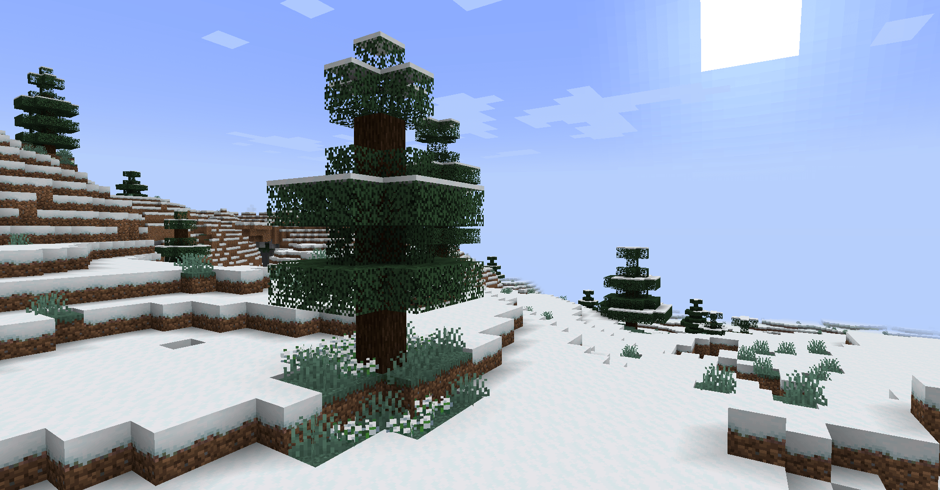 Snowy Plains