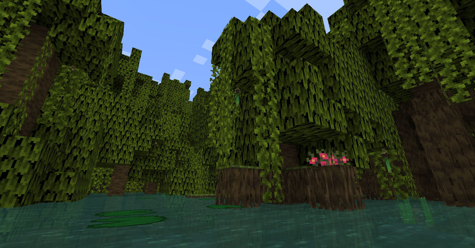 Mangrove Swamps