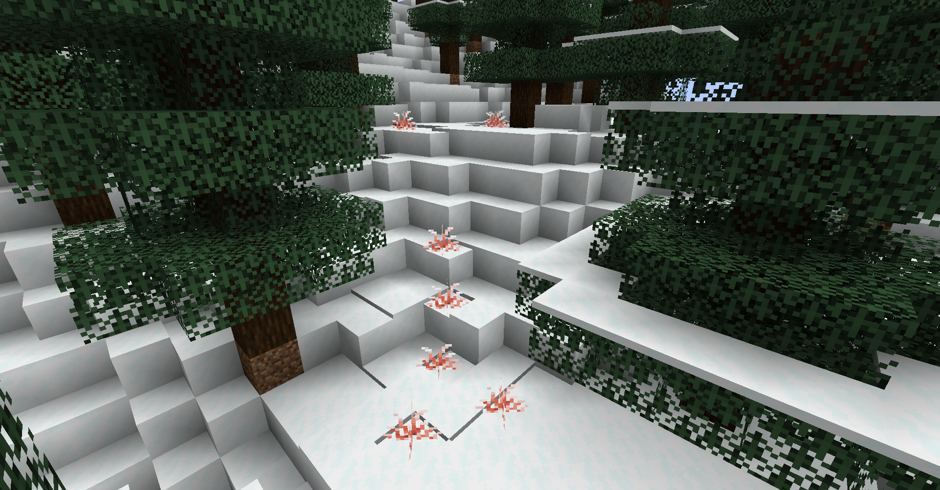 Snowy Slopes