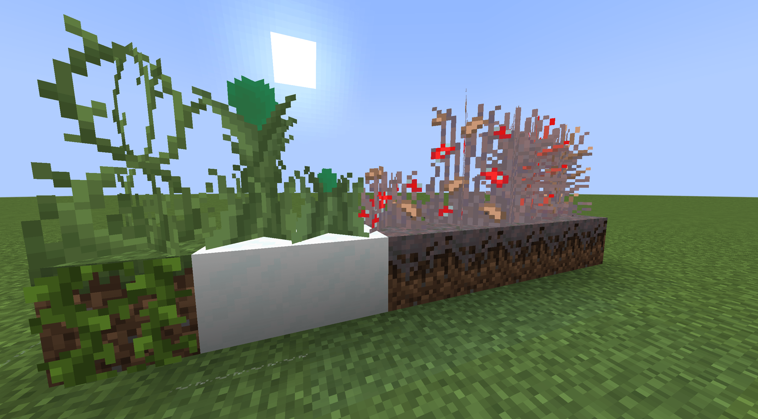 Thumbnail plants_showcase.png