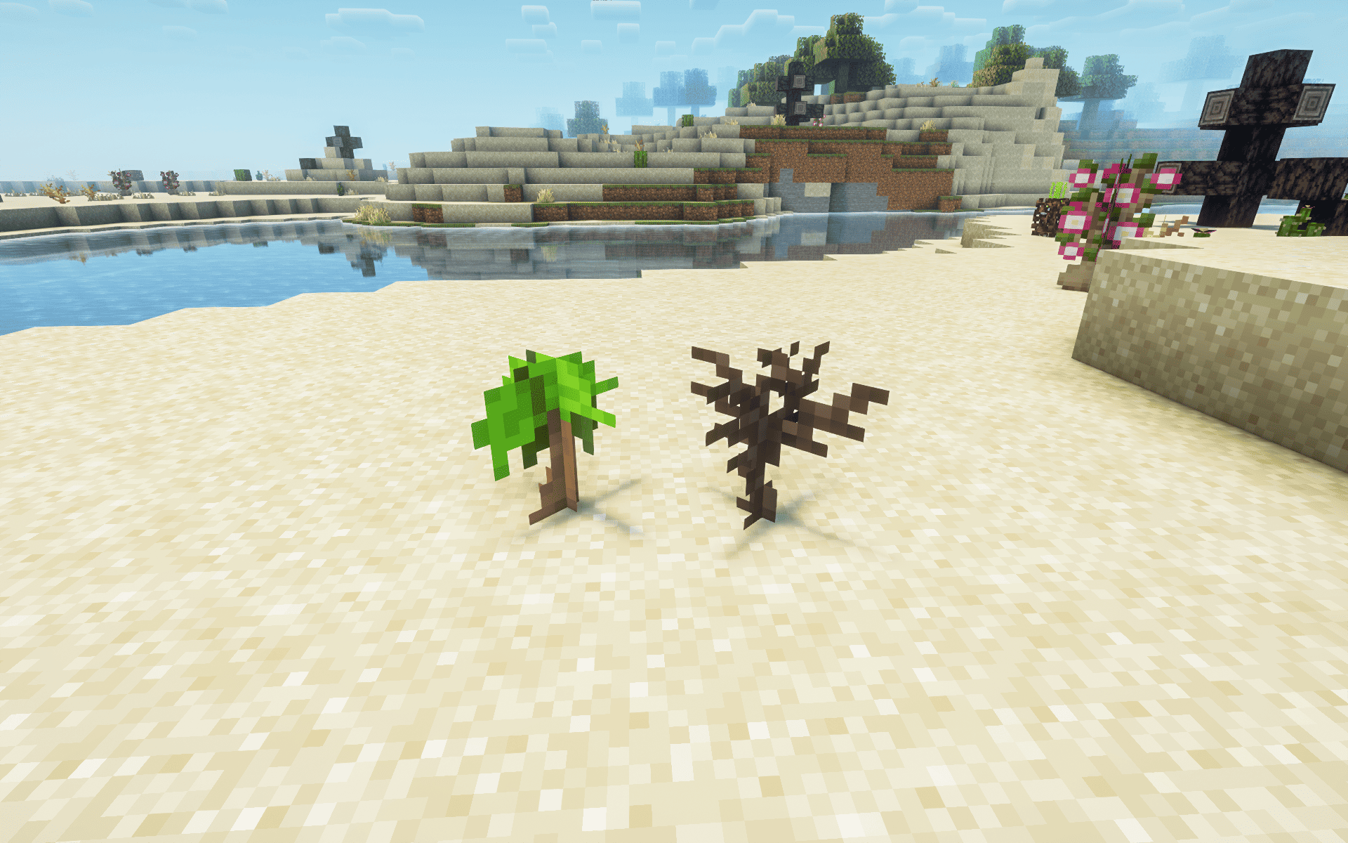 Thumbnail Saplings