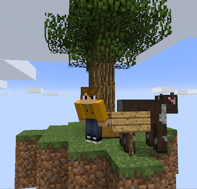 A SkyBlock Screenshot