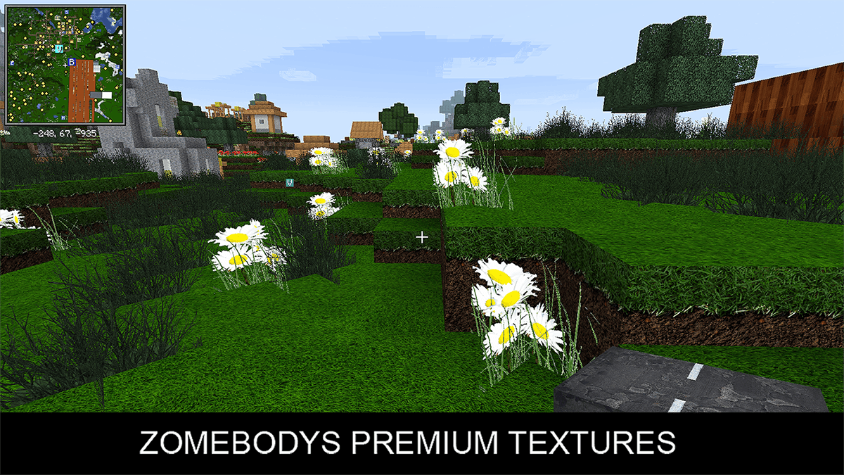 Thumbnail ZOMEBODYS PREMIUM TEXTURE PACK 5.png
