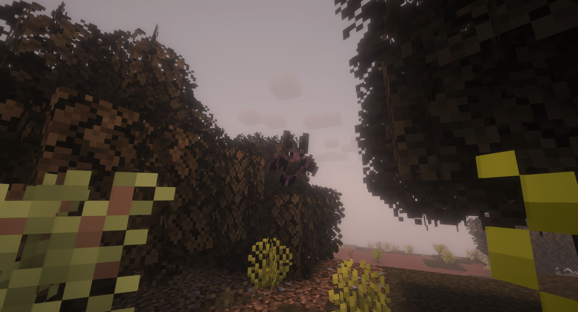 Thumbnail A Townsend's big-eared bat, exclusive to woodland and arid overworld biomes.