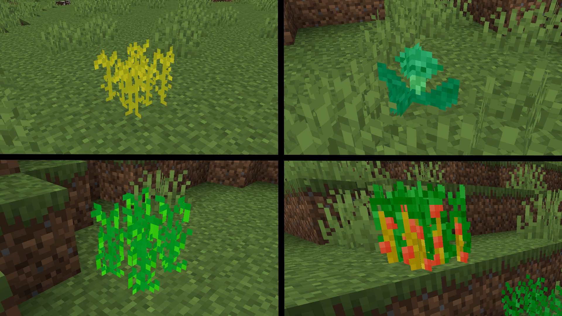 wild_crops