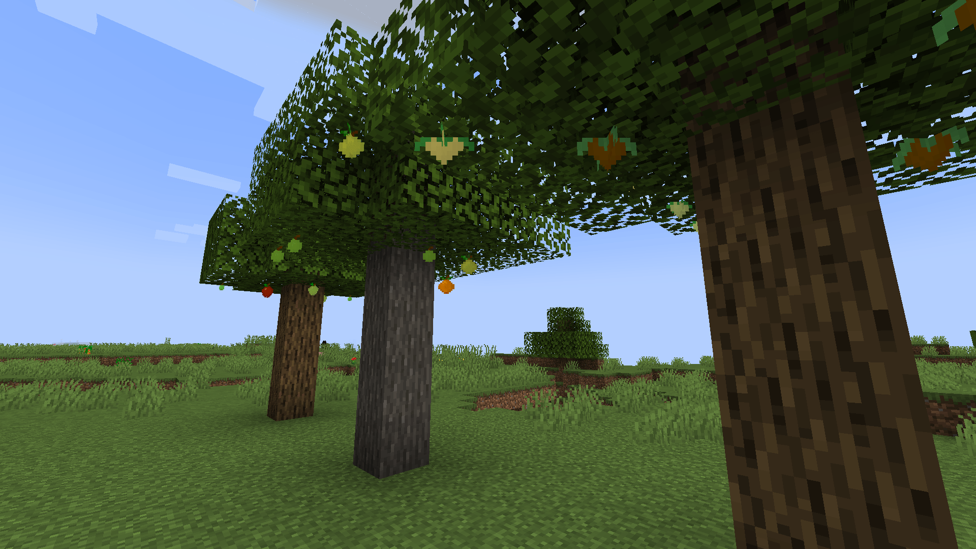 fruit_trees