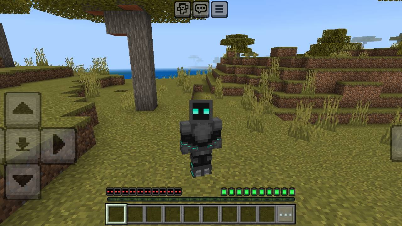 Screenshot thumbnail