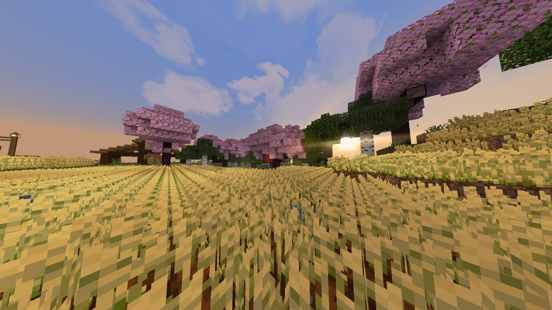 Thumbnail d065b156-58f1-4615-8d91-186895cb1348.jpeg