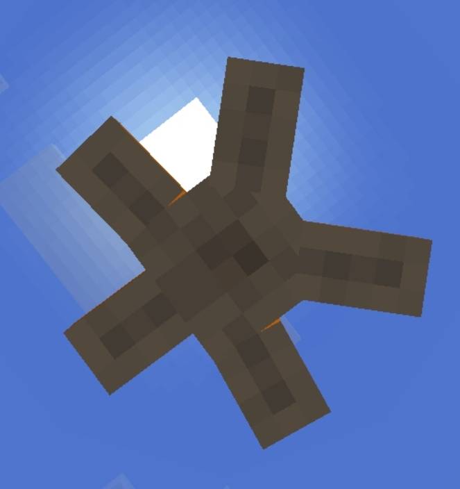Starfish from below