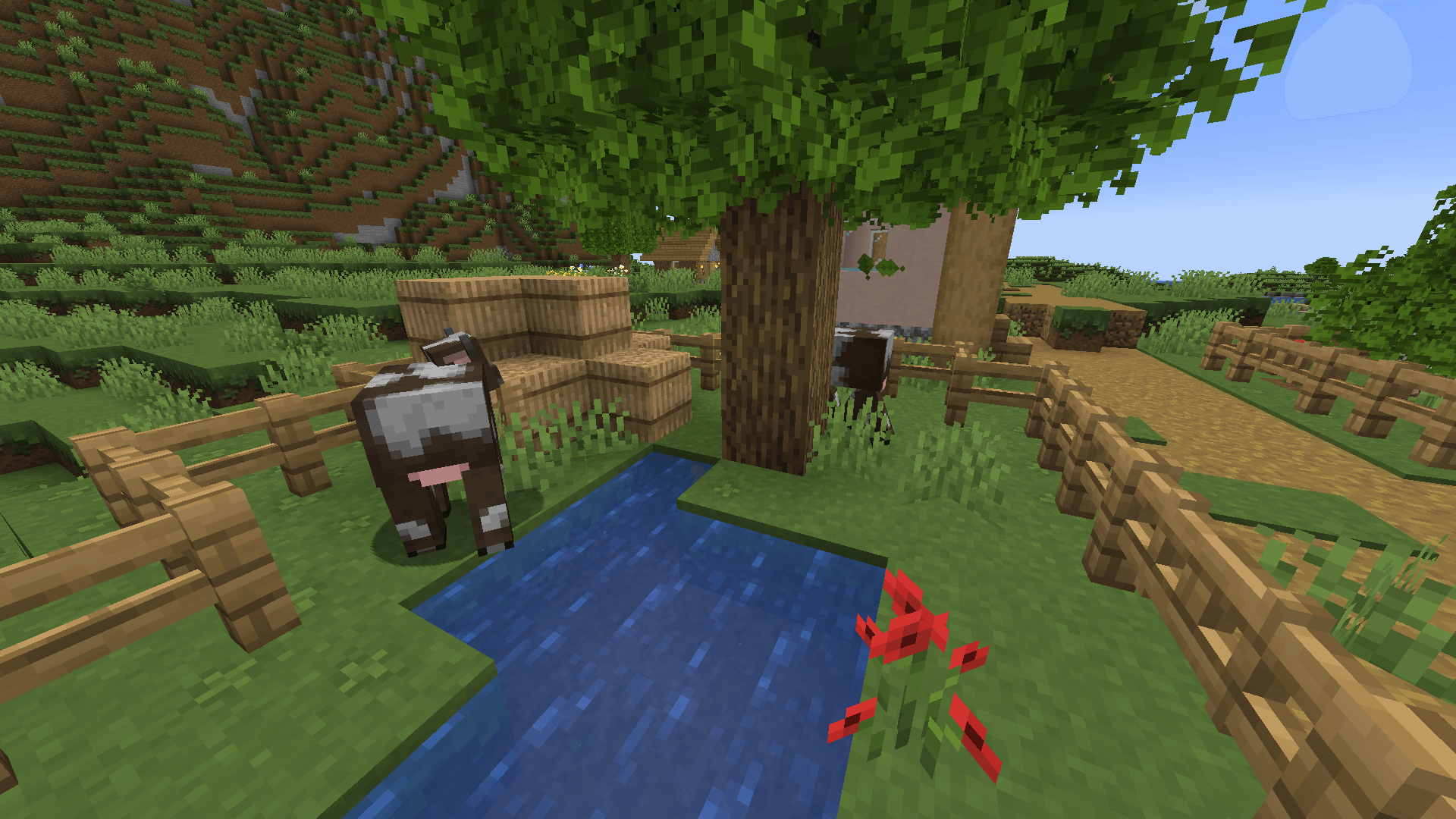 Thumbnail {9C469717-0B4A-4EB7-BB03-2F4038B756BC}.png