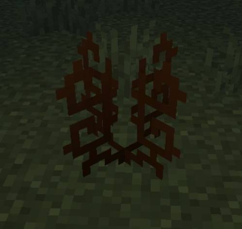 Glowing Ember Coral