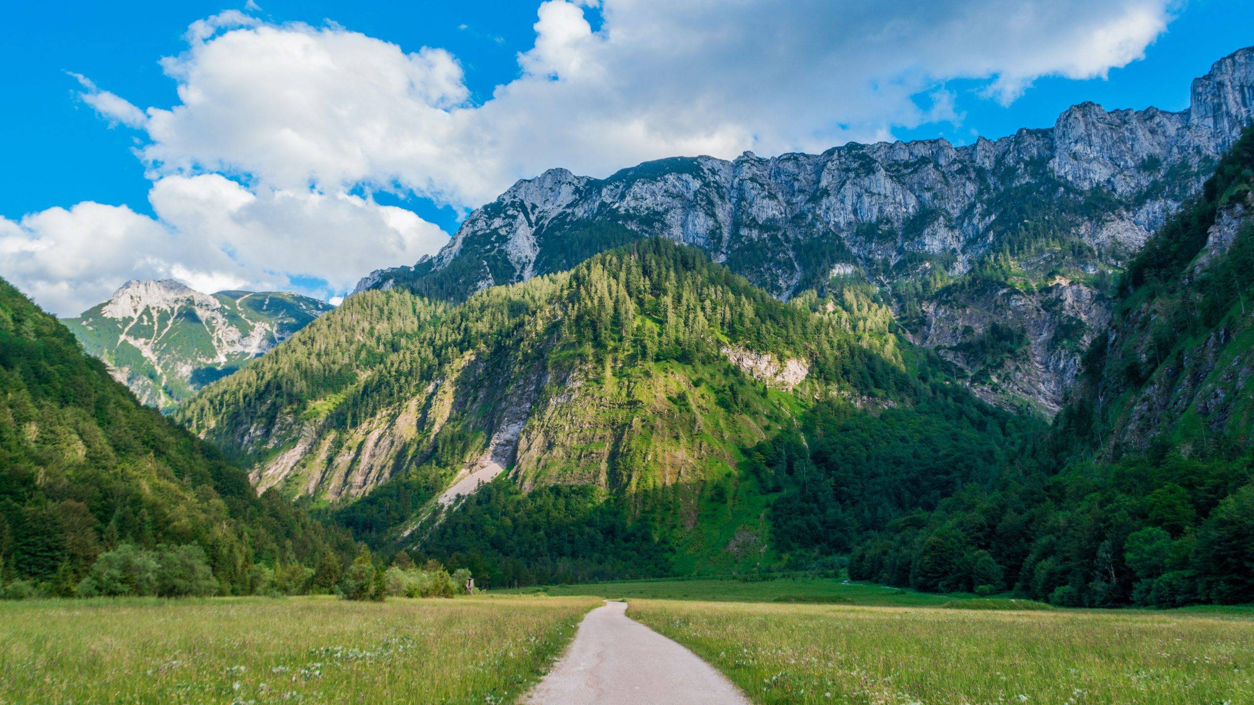 Thumbnail max-duzij-NhG05ImWSIo-unsplash-scaled.jpg