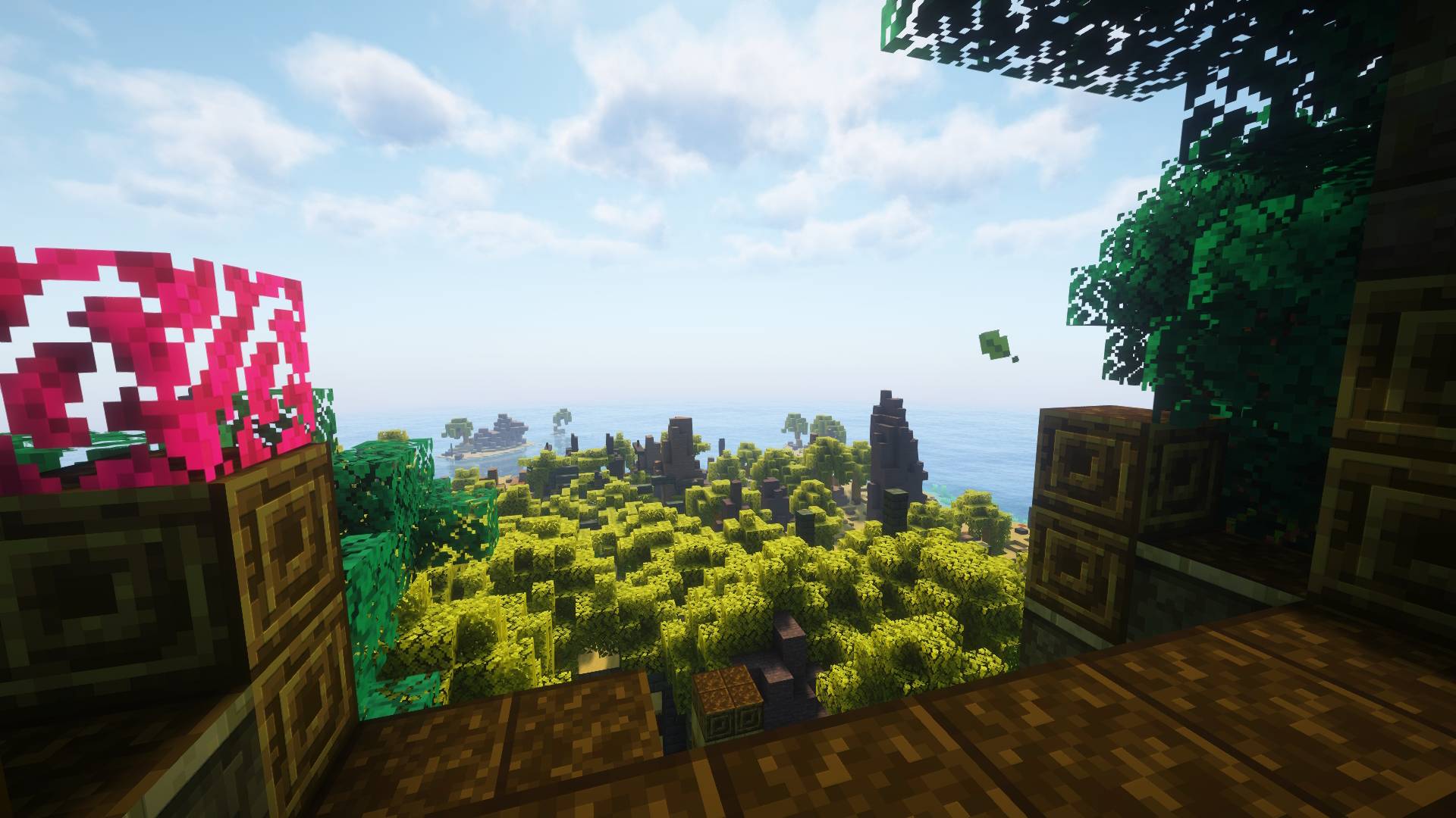 Thumbnail Overlooking the Beach