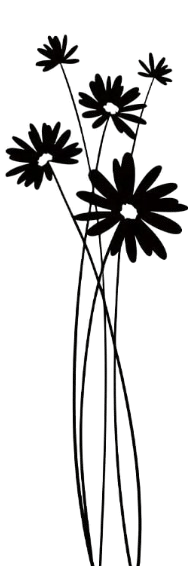 Thumbnail Capture_d_écran_2025-06-22_215746-removebg-preview.png