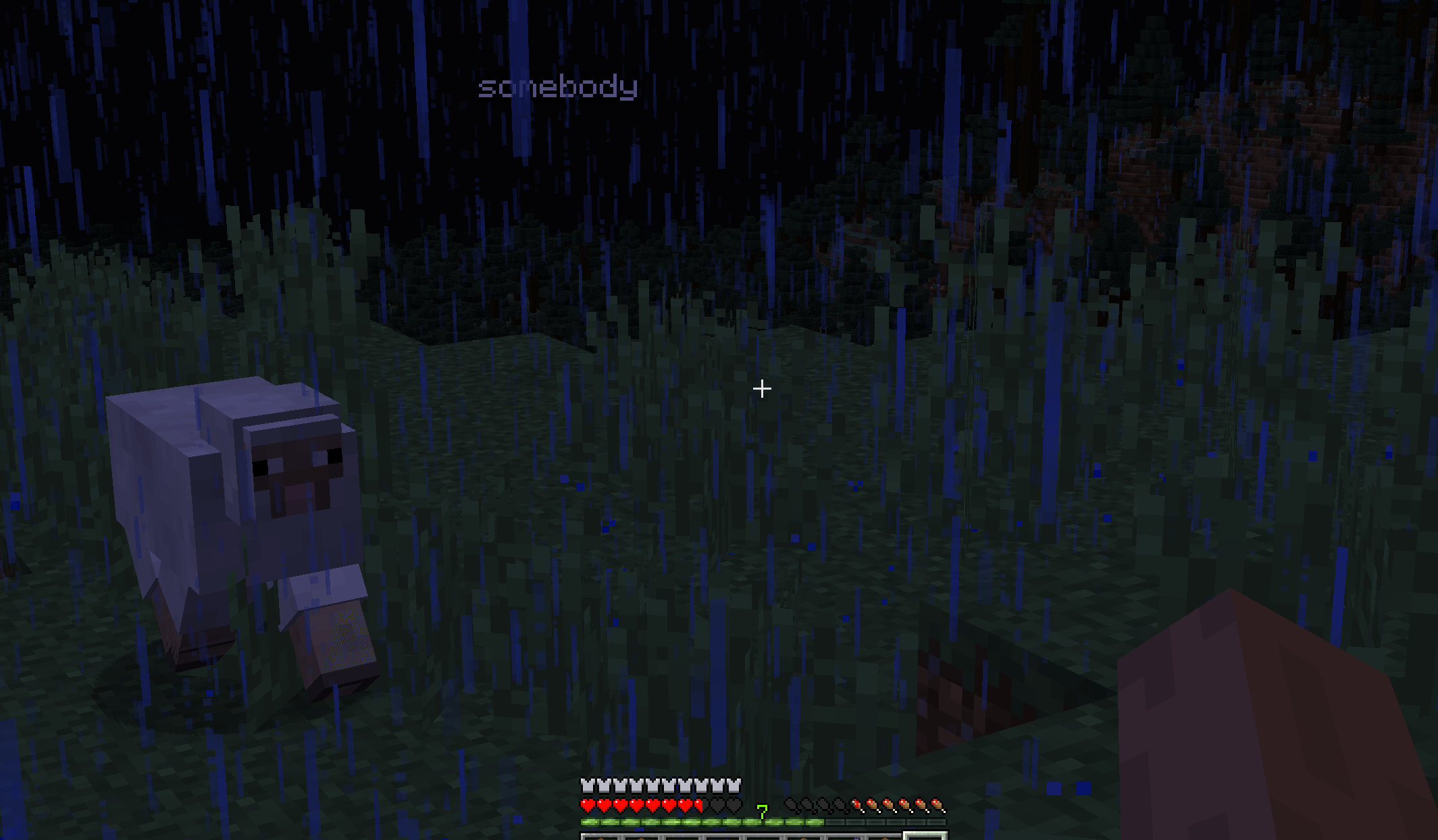 Somebody? - Minecraft Mods - CurseForge