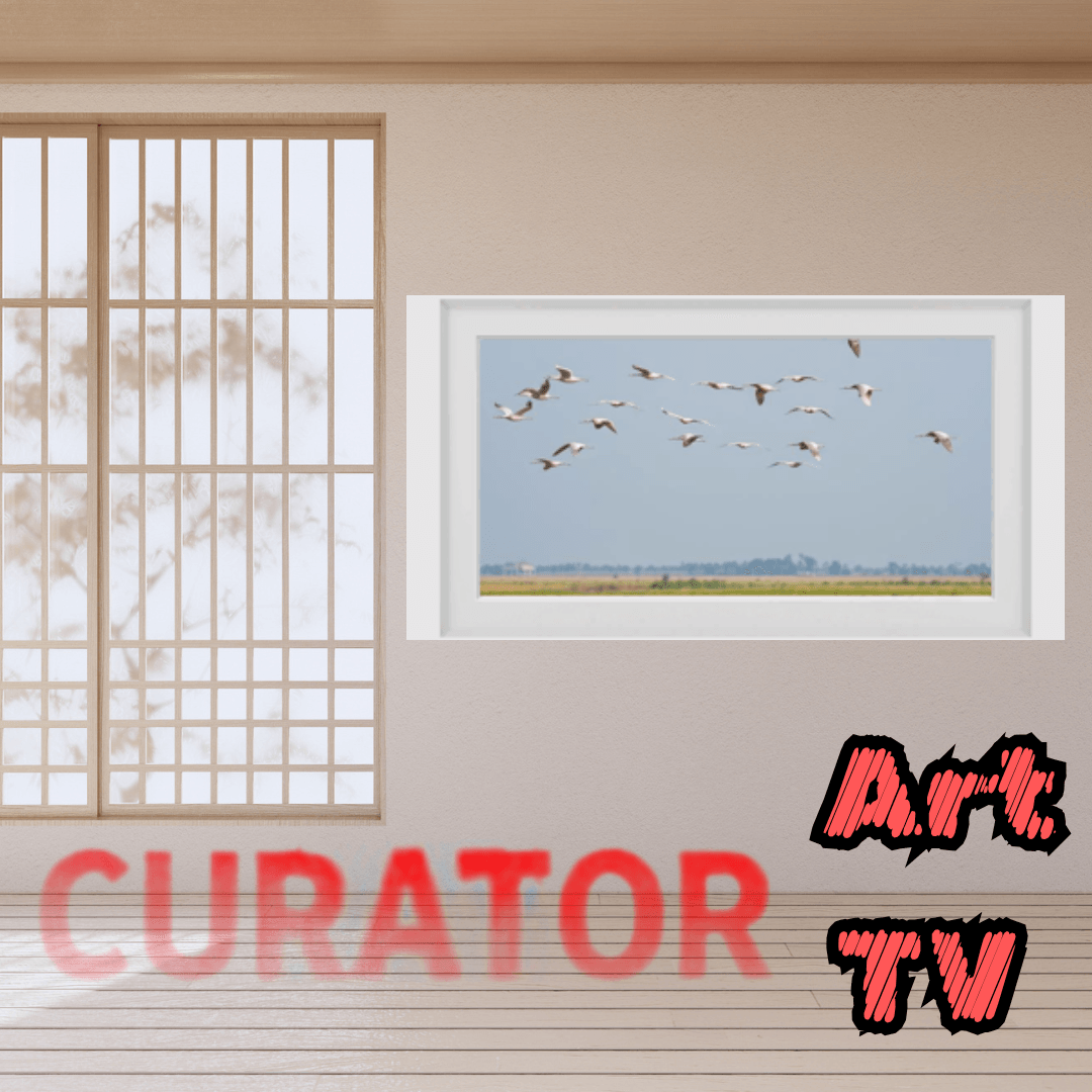 Copy of Curator Art Smart TV (2).png