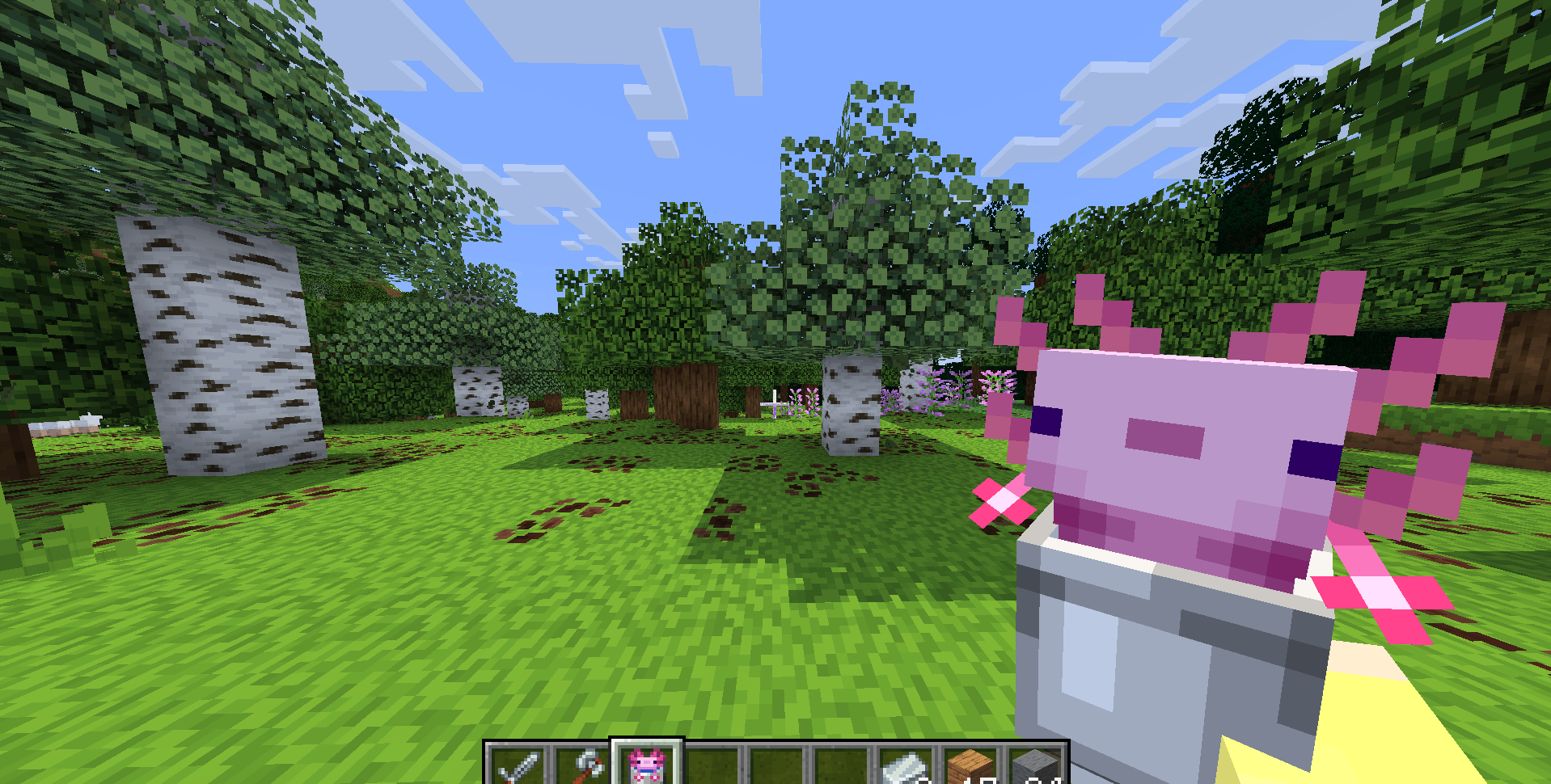 Fresh & Soft game screenshot