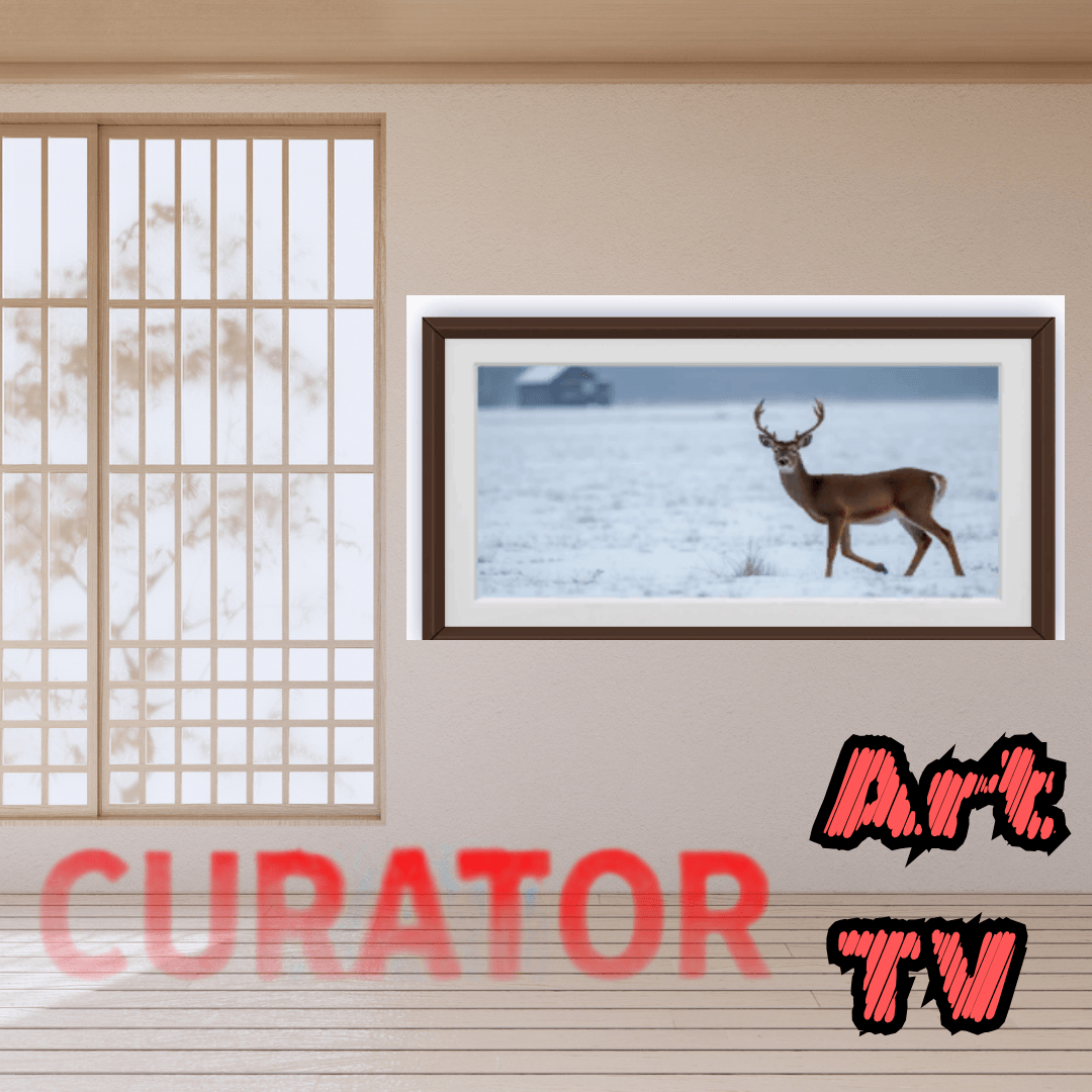 Copy of Curator Art Smart TV (1).png