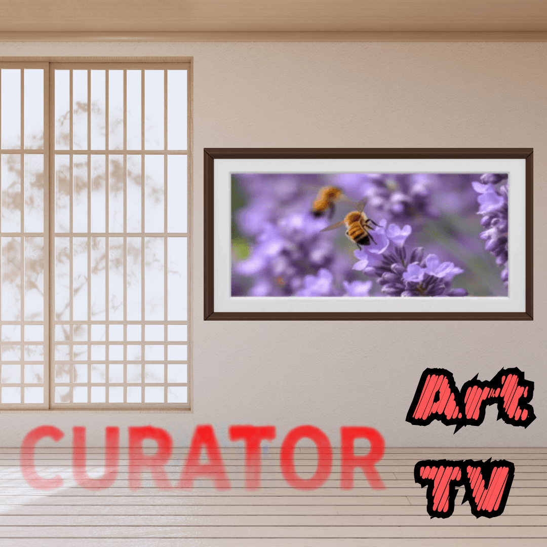 Copy of Curator Art Smart TV (9).png