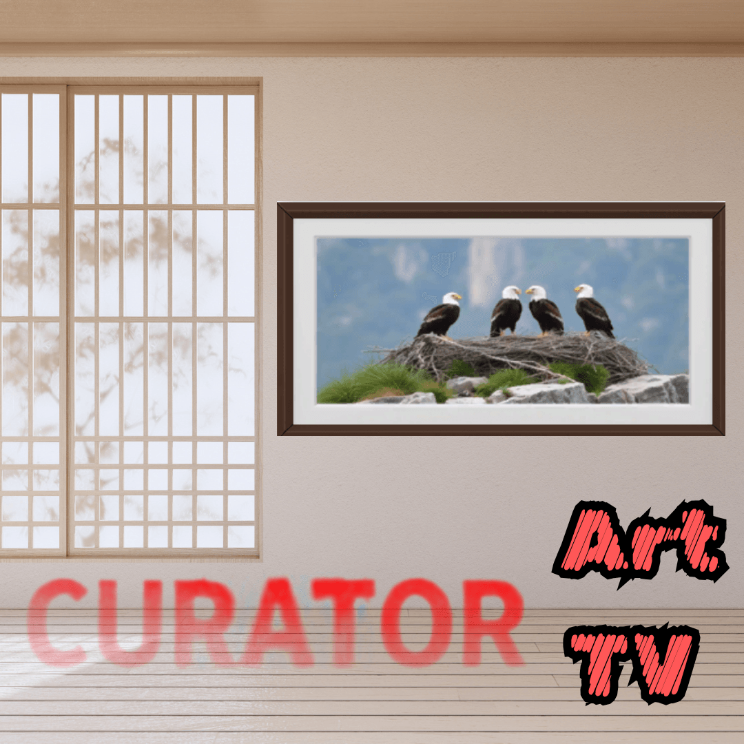Copy of Curator Art Smart TV (4).png