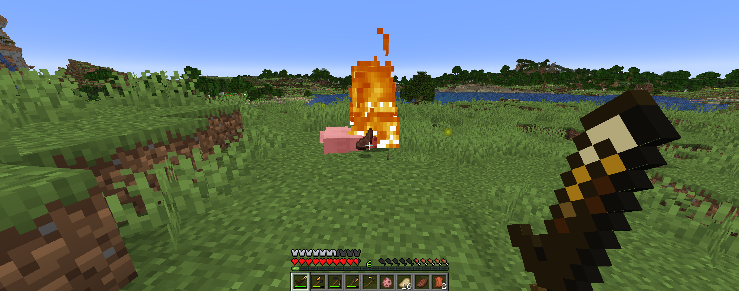 Thumbnail Here you can see what happens when you kill mobs with the Coal Sword! It sets them on fire, and it cooks their raw meat!