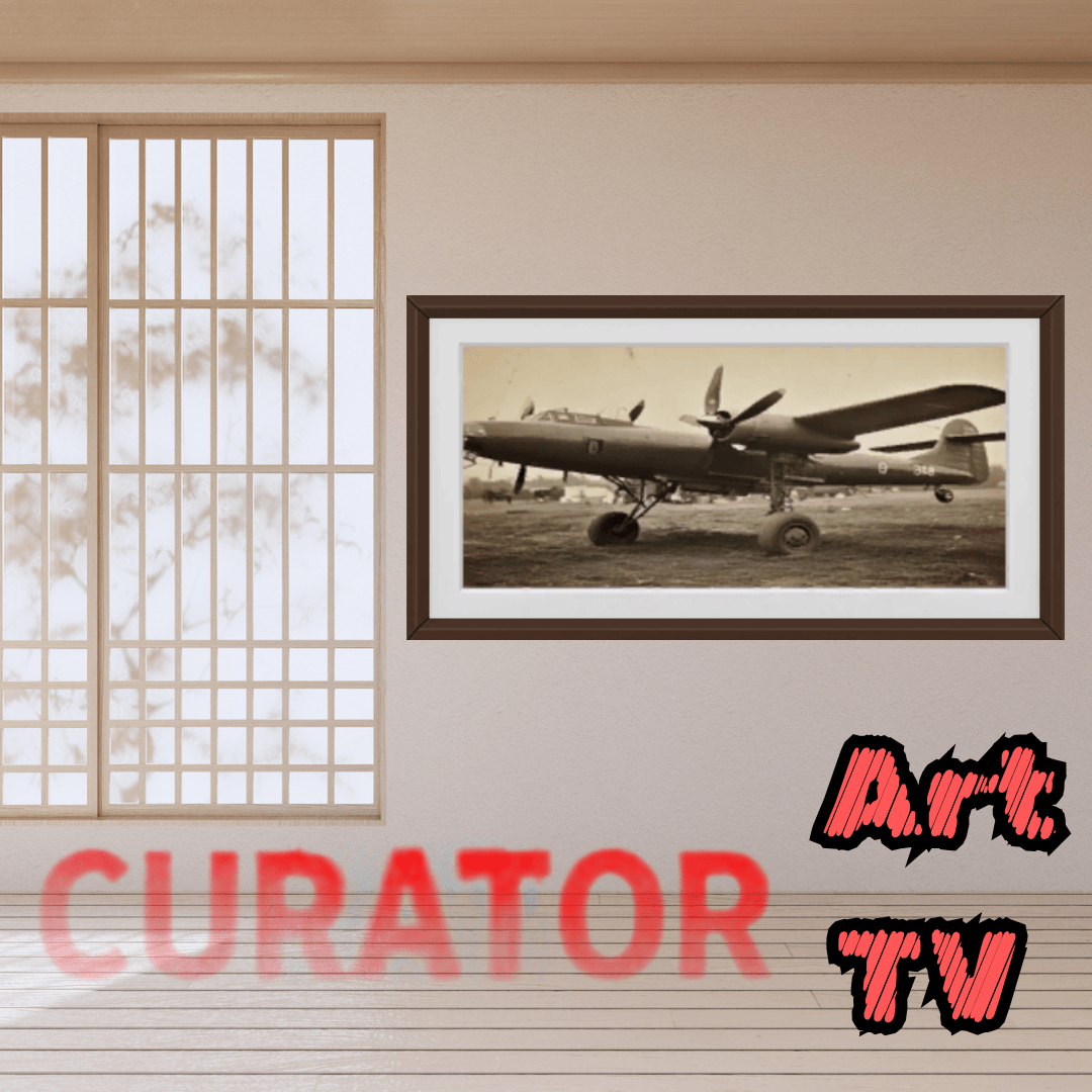 Copy of Curator Art Smart TV (5).png