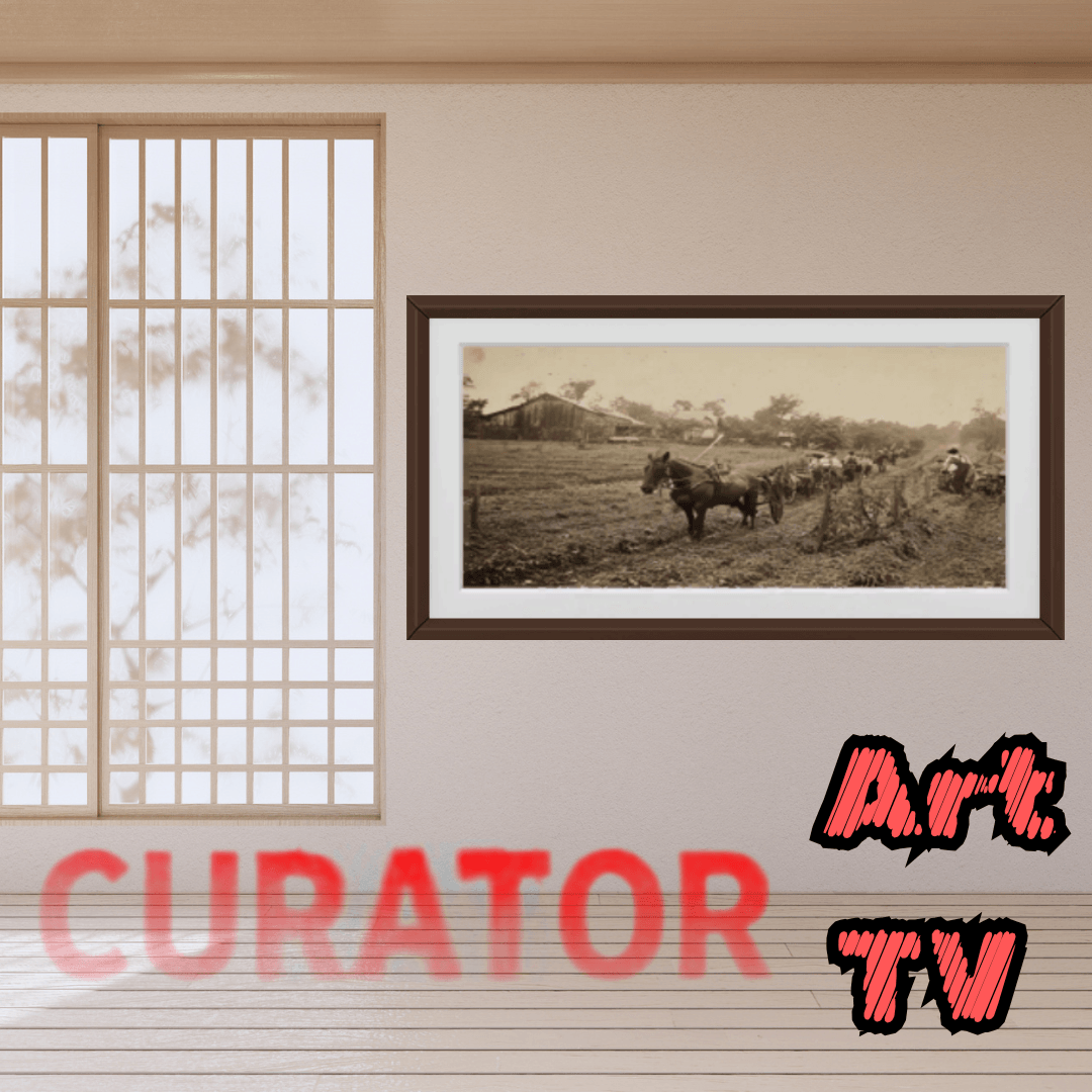 Copy of Curator Art Smart TV (6).png