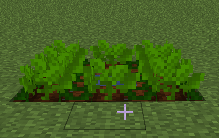 Thumbnail zucchini.png