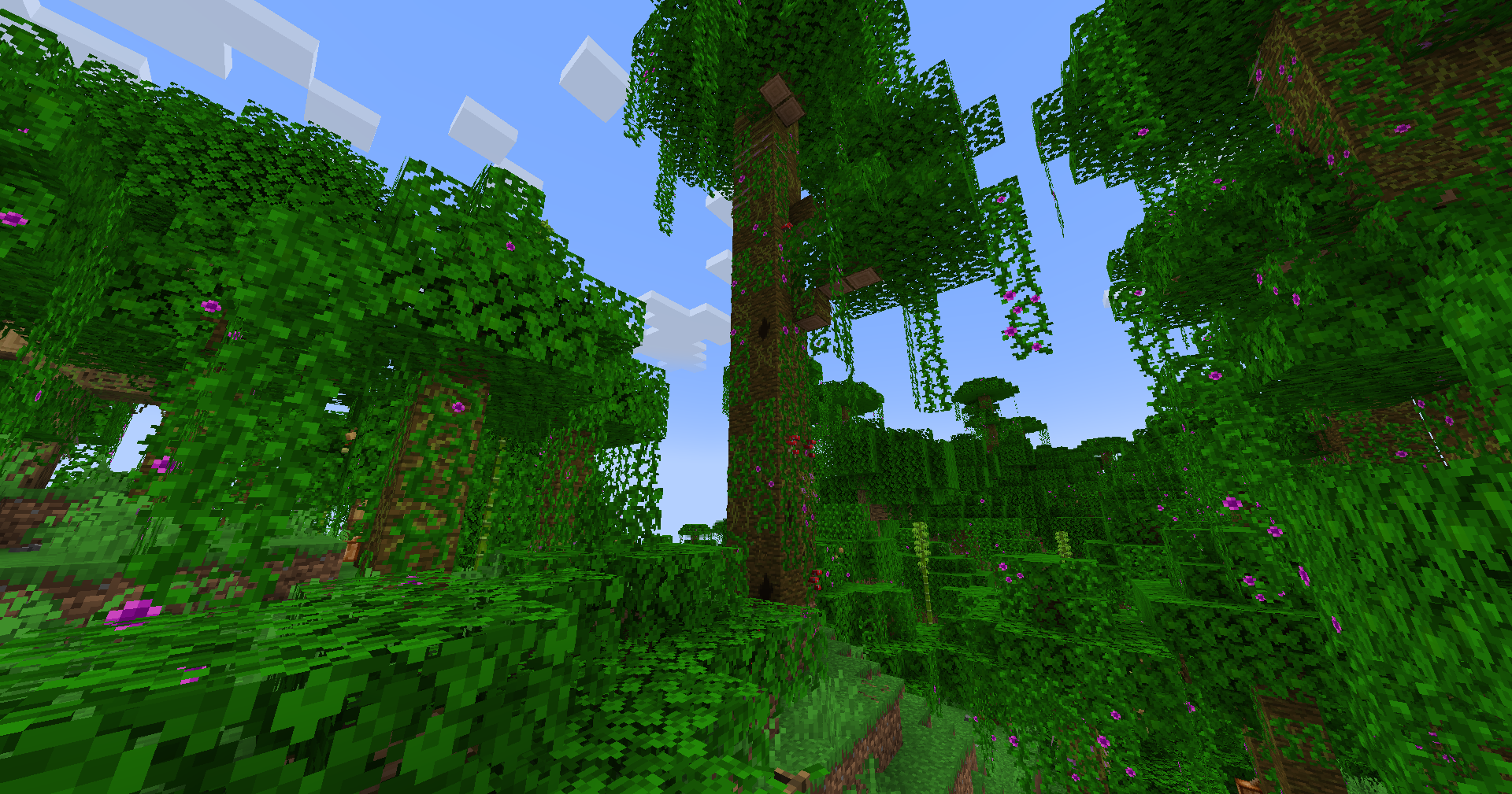 screenshot thumbnail