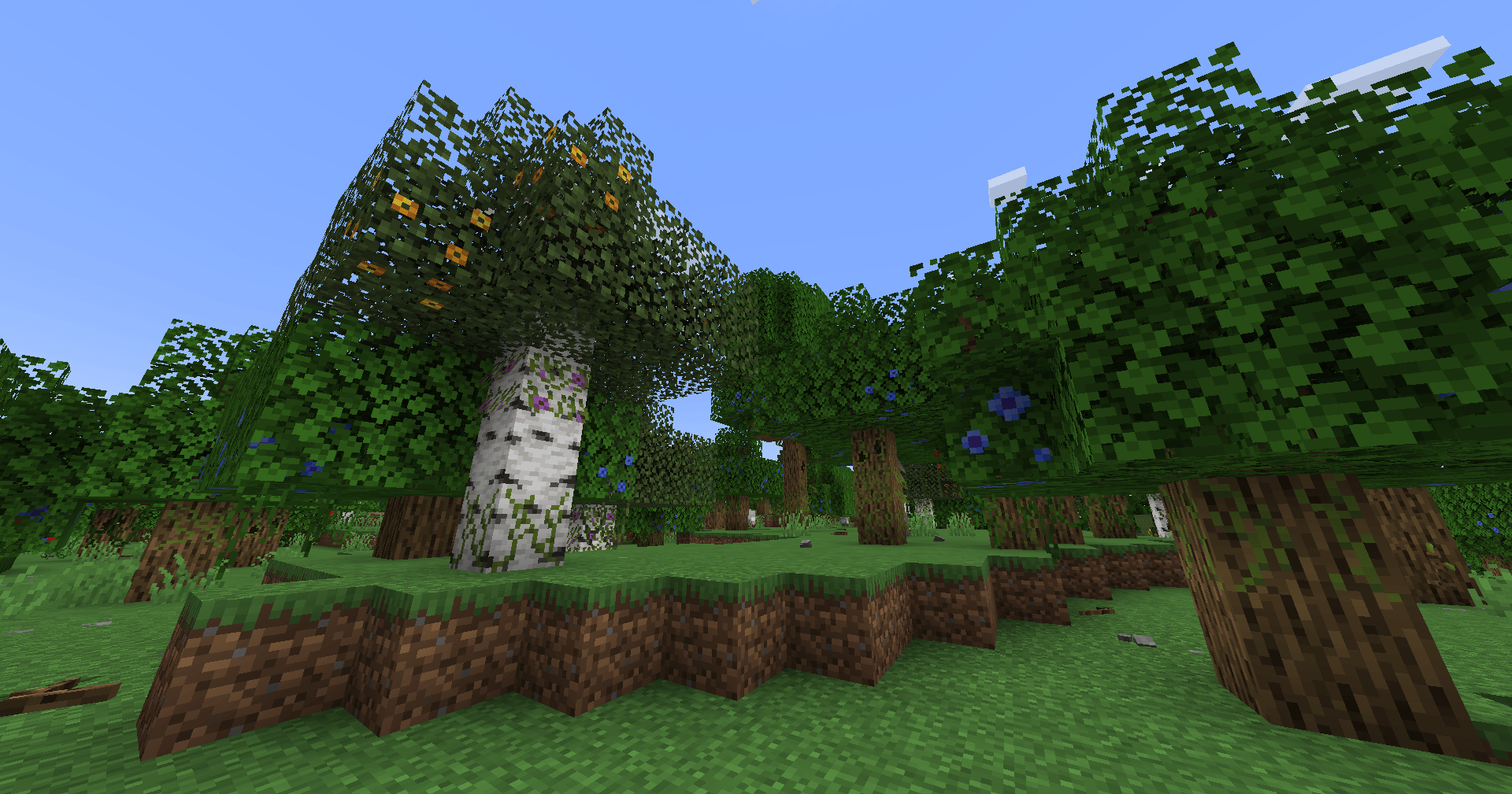 screenshot thumbnail