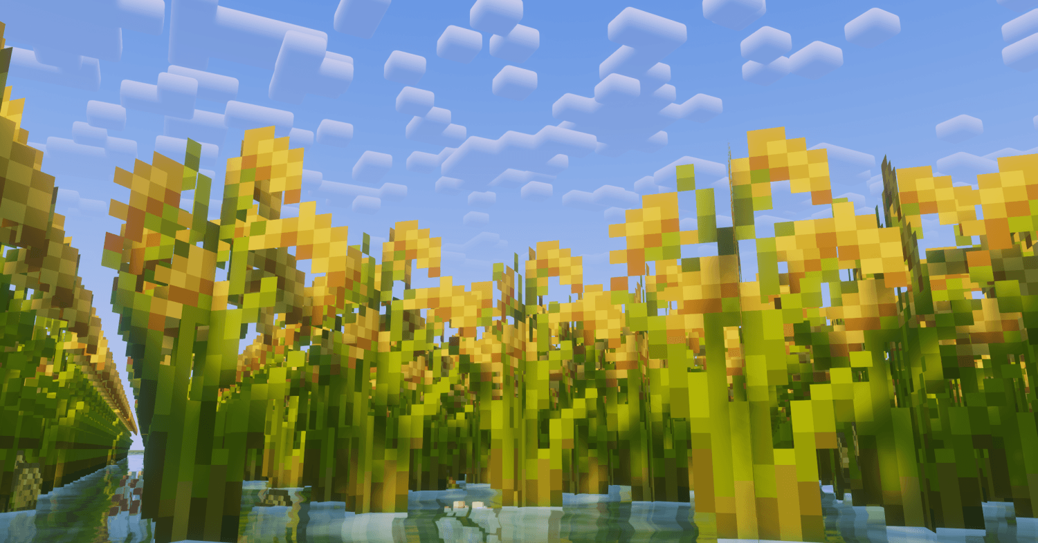 ce2a393a-d1a3-4b08-a13c-86842d87cd30-png.png