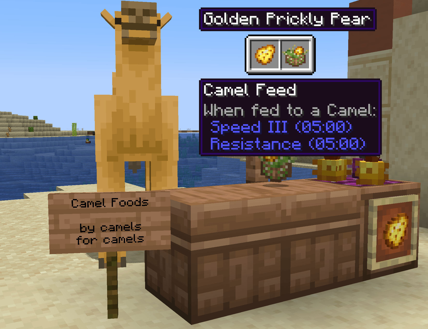 Camel Feed