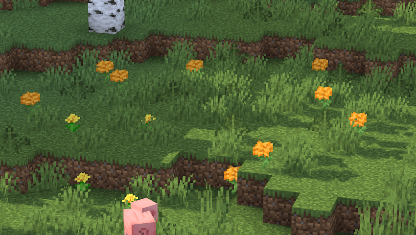 marigolds.png
