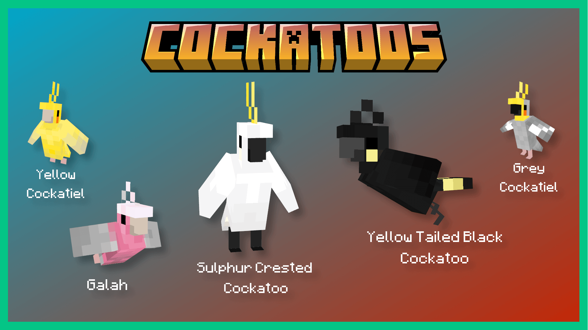 Cockatoos