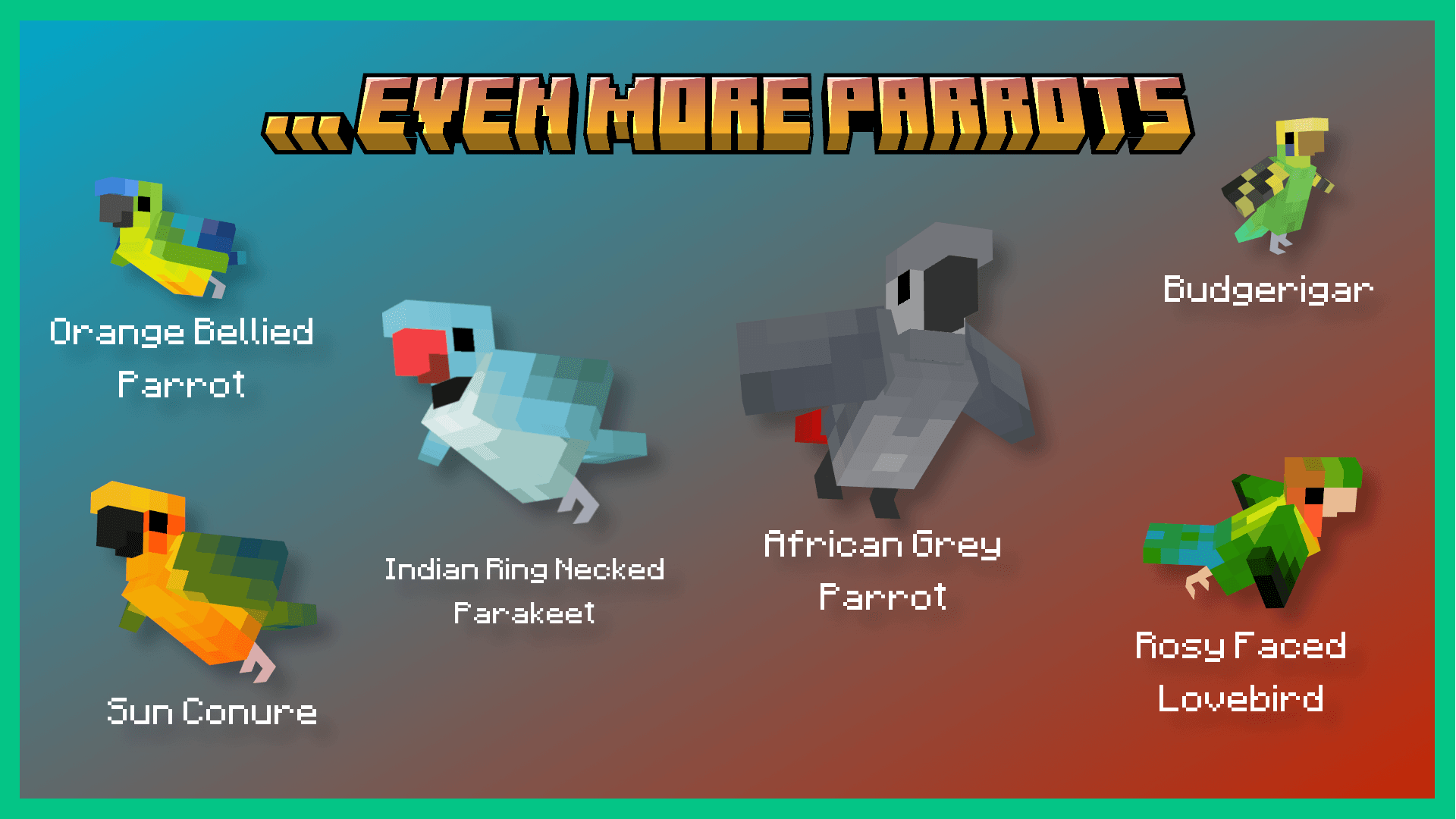 More Parrots