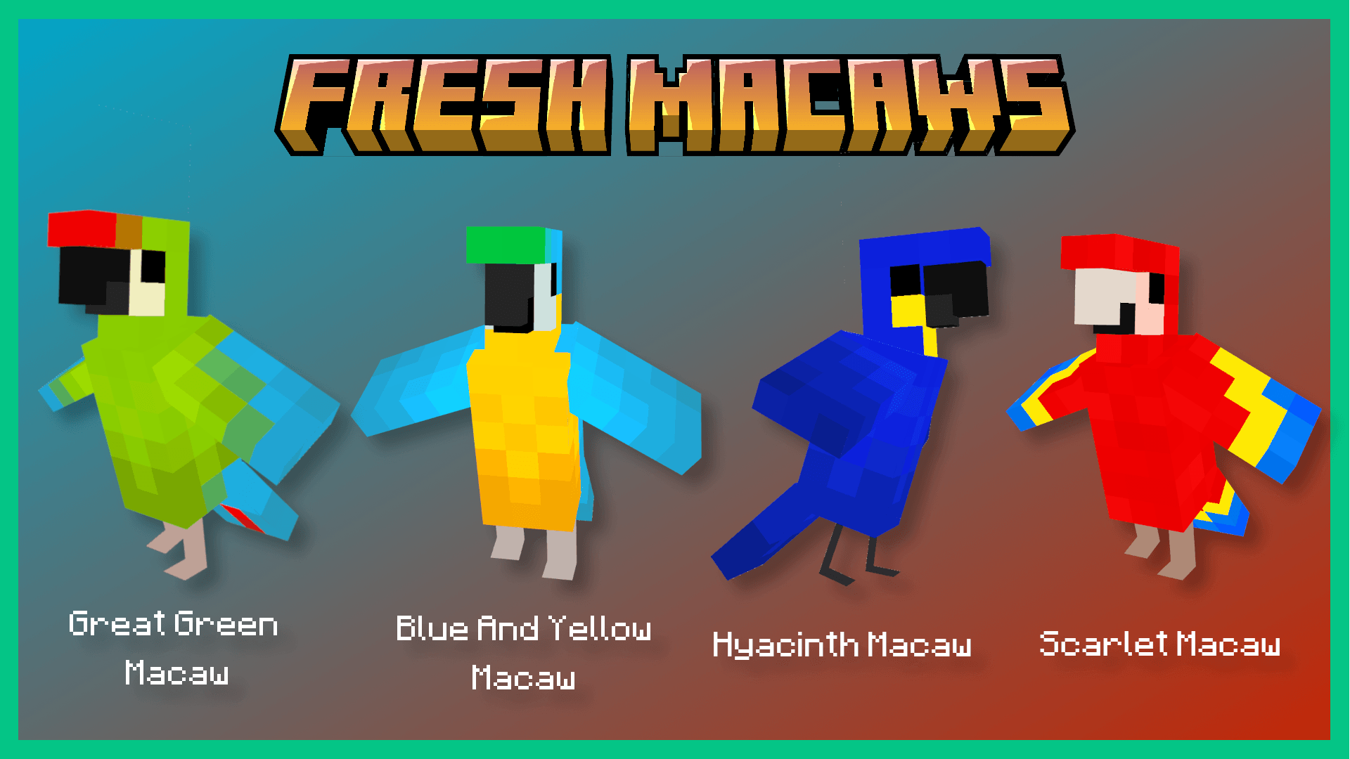 Macaws