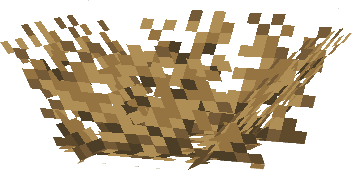 Nest