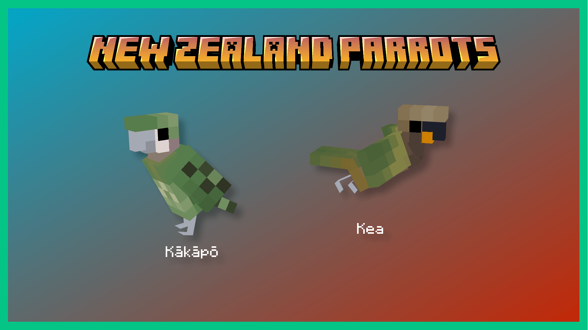 NZ Parrots