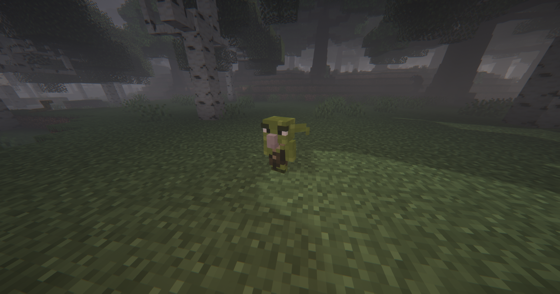 Thumbnail A wild goblin!! Make sure he doesn't steal your socks
