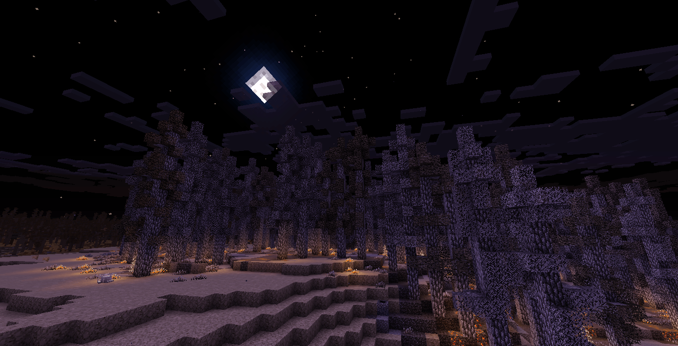 An ashen woodland next to a wasteland