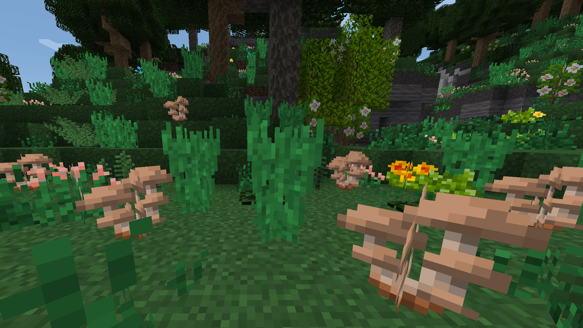 mushroom1.png