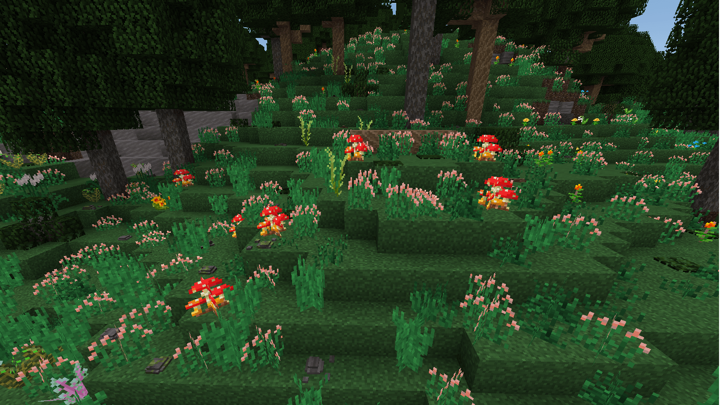 mushroom2.png