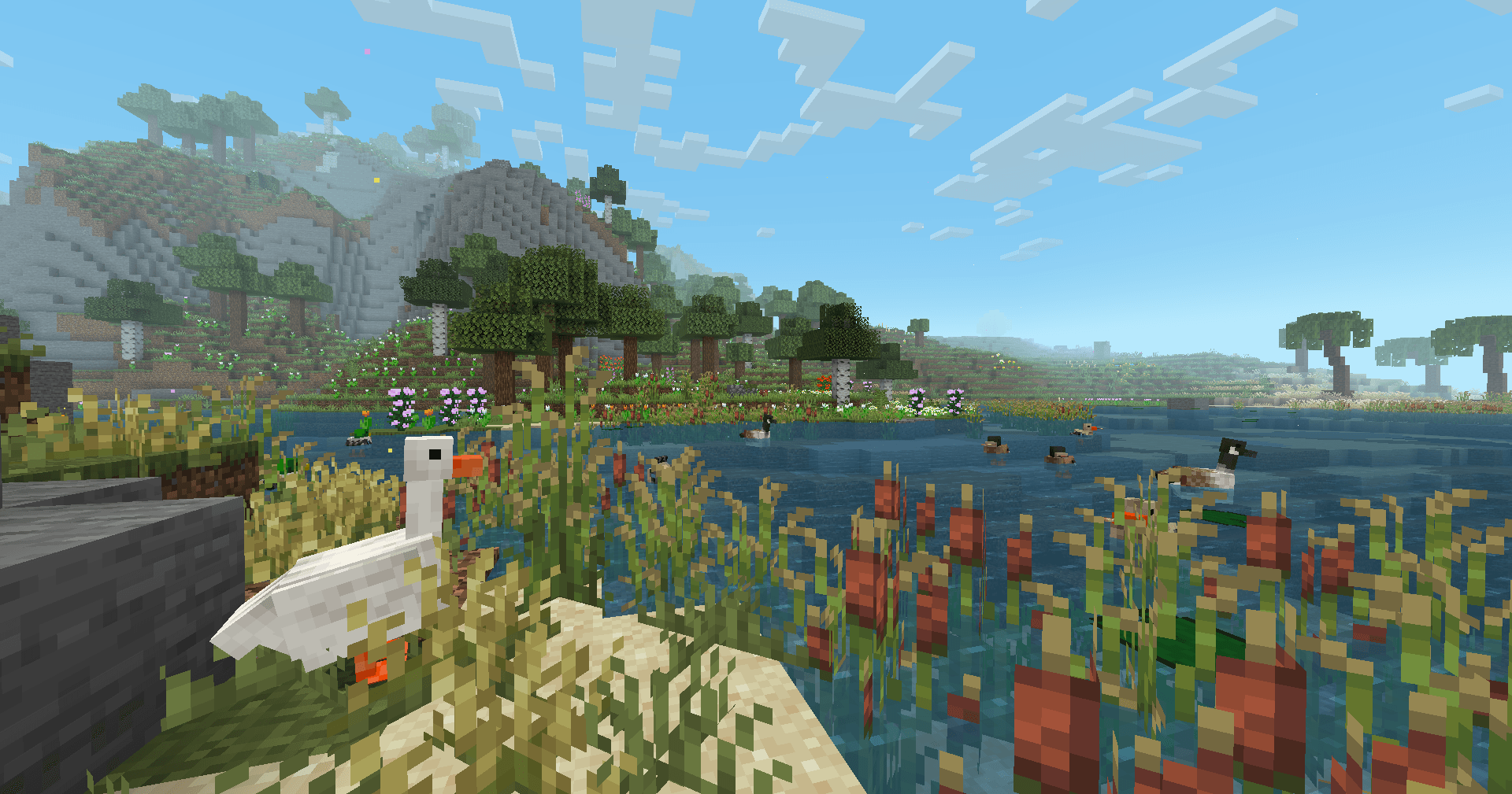 Thumbnail 🪿Cute ahh Goose admiring the gorgeous scenery