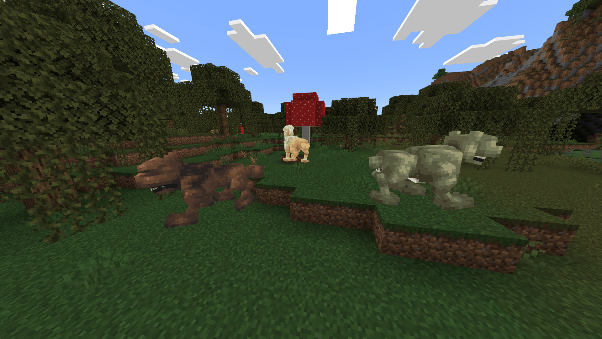 gamma_dogs.png